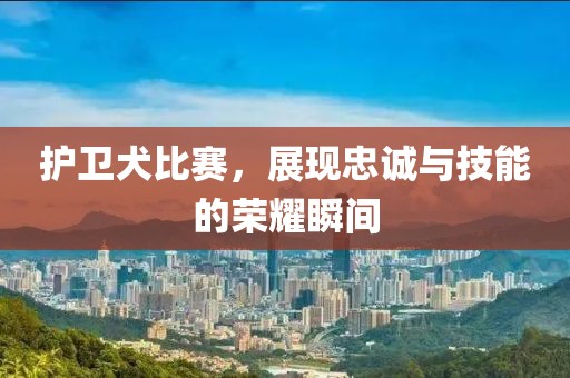 护卫犬比赛，展现忠诚与技能的荣耀瞬间