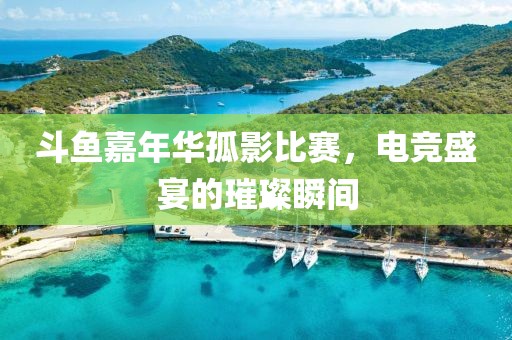 斗鱼嘉年华孤影比赛，电竞盛宴的璀璨瞬间