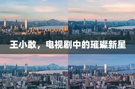 王小敢，电视剧中的璀璨新星