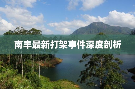 南丰最新打架事件深度剖析
