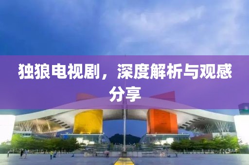 独狼电视剧，深度解析与观感分享