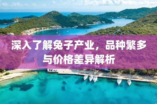 深入了解兔子产业，品种繁多与价格差异解析