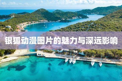 银狐动漫图片的魅力与深远影响