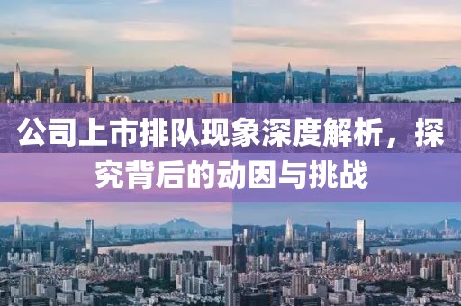 公司上市排队现象深度解析，探究背后的动因与挑战