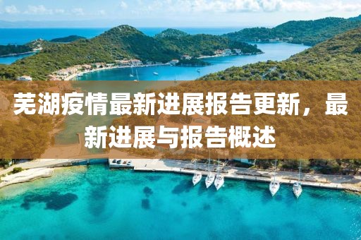 芜湖疫情最新进展报告更新，最新进展与报告概述