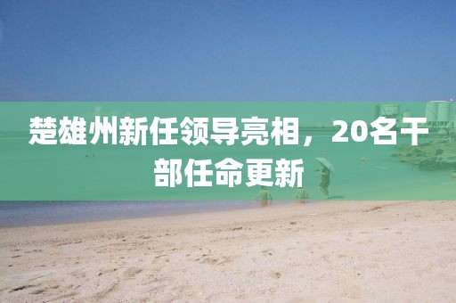 楚雄州新任领导亮相，20名干部任命更新