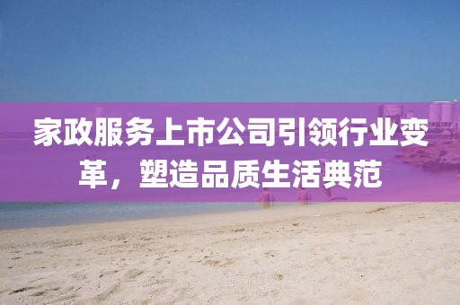 家政服务上市公司引领行业变革，塑造品质生活典范