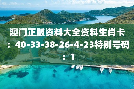 安静的河 第8页