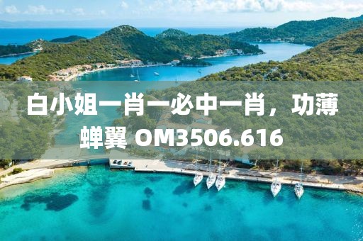 白小姐一肖一必中一肖，功薄蝉翼 OM3506.616
