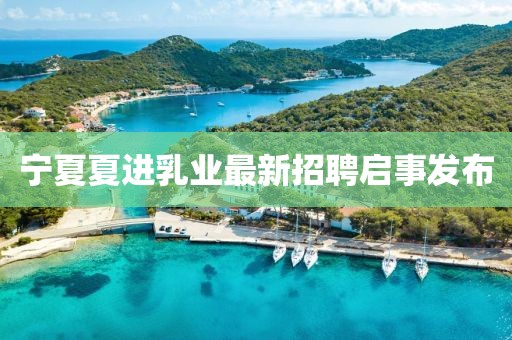 宁夏夏进乳业最新招聘启事发布
