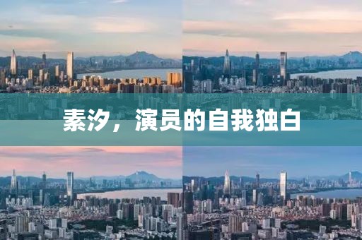 素汐，演员的自我独白
