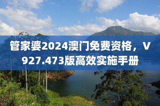 管家婆2024澳门免费资格，V927.473版高效实施手册