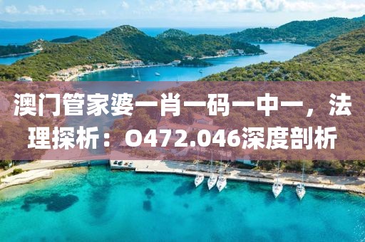 澳门管家婆一肖一码一中一，法理探析：O472.046深度剖析