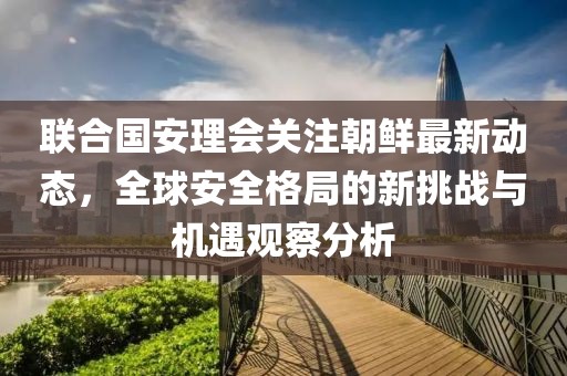 联合国安理会关注朝鲜最新动态，全球安全格局的新挑战与机遇观察分析