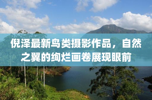 倪泽最新鸟类摄影作品，自然之翼的绚烂画卷展现眼前