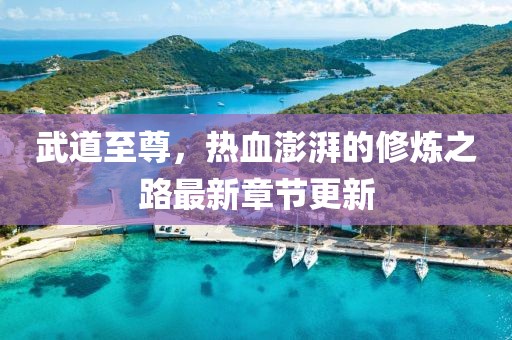 武道至尊，热血澎湃的修炼之路最新章节更新