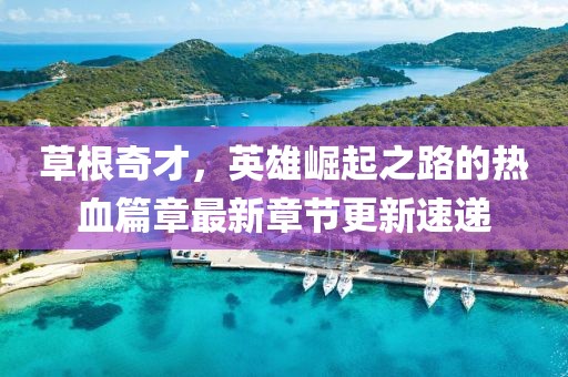草根奇才，英雄崛起之路的热血篇章最新章节更新速递