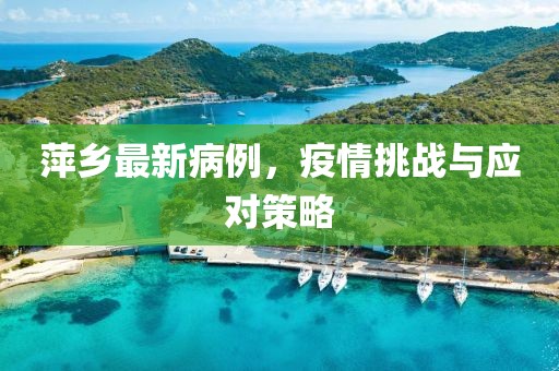 萍乡最新病例，疫情挑战与应对策略