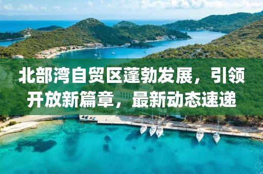 北部湾自贸区蓬勃发展，引领开放新篇章，最新动态速递
