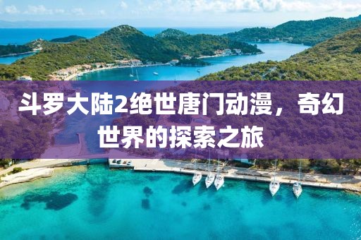 斗罗大陆2绝世唐门动漫，奇幻世界的探索之旅