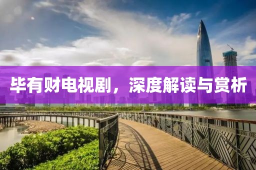 毕有财电视剧，深度解读与赏析