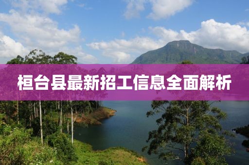 桓台县最新招工信息全面解析