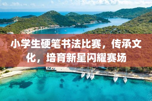小学生硬笔书法比赛，传承文化，培育新星闪耀赛场