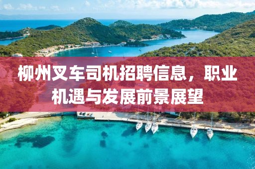 柳州叉车司机招聘信息，职业机遇与发展前景展望