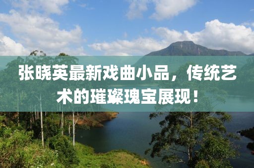 张晓英最新戏曲小品，传统艺术的璀璨瑰宝展现！
