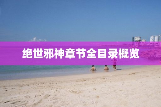 绝世邪神章节全目录概览