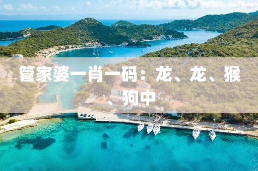 管家婆一肖一码：龙、龙、猴、狗中