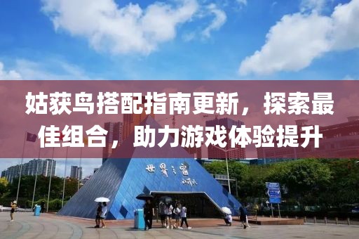 姑获鸟搭配指南更新，探索最佳组合，助力游戏体验提升