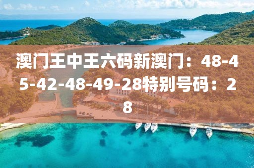 澳门王中王六码新澳门：48-45-42-48-49-28特别号码：28