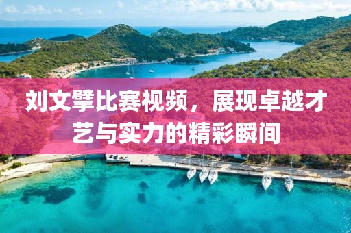 刘文擘比赛视频，展现卓越才艺与实力的精彩瞬间