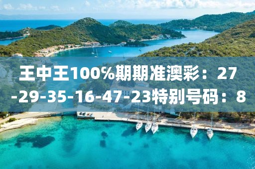 王中王100℅期期准澳彩：27-29-35-16-47-23特别号码：8
