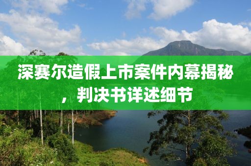 深赛尔造假上市案件内幕揭秘，判决书详述细节