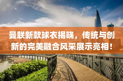 落幕未终场 第2页