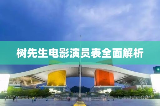 树先生电影演员表全面解析
