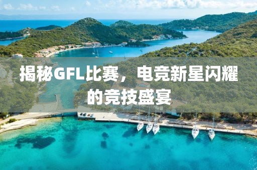 揭秘GFL比赛，电竞新星闪耀的竞技盛宴