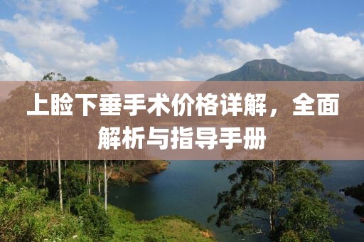 上睑下垂手术价格详解，全面解析与指导手册