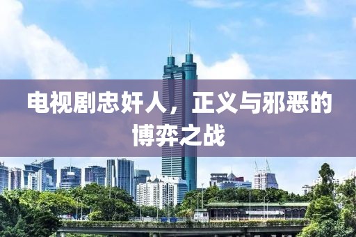 电视剧忠奸人，正义与邪恶的博弈之战