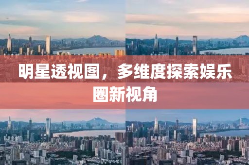 明星透视图，多维度探索娱乐圈新视角