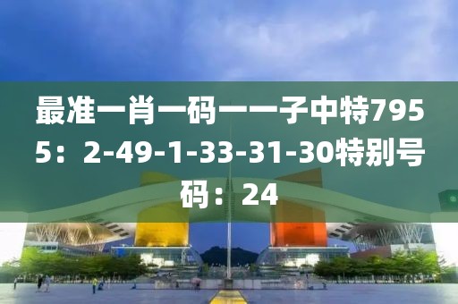 最准一肖一码一一子中特7955：2-49-1-33-31-30特别号码：24