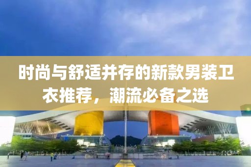 时尚与舒适并存的新款男装卫衣推荐，潮流必备之选
