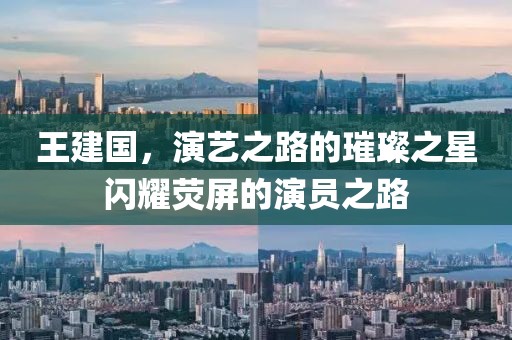 王建国，演艺之路的璀璨之星闪耀荧屏的演员之路