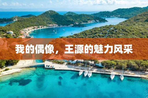 我的偶像，王源的魅力风采