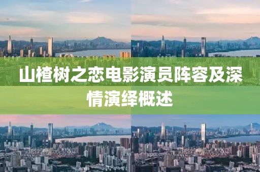 山楂树之恋电影演员阵容及深情演绎概述
