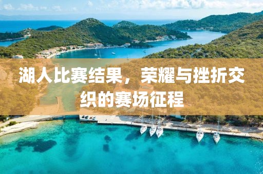 湖人比赛结果，荣耀与挫折交织的赛场征程