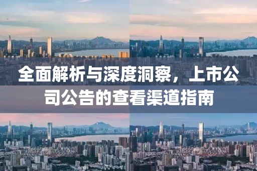 全面解析与深度洞察，上市公司公告的查看渠道指南