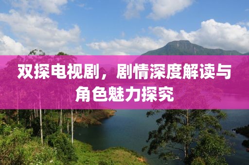 双探电视剧，剧情深度解读与角色魅力探究